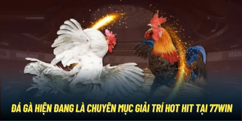 Tổng quan về sân chơi đá gà 99OK 