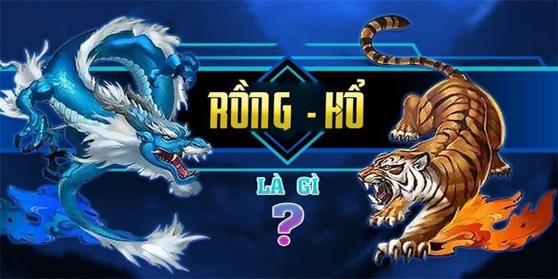 Đôi nét về tựa game rồng hổ 